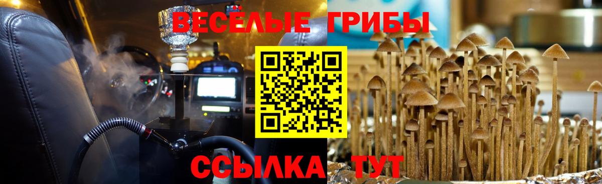 Галлюциногенные грибы мицелий  купить  сайты  Коммунар  Вход с VPN 
